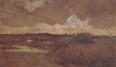 Vincent Van Gogh Marshy Landscape (nn04) France oil painting art